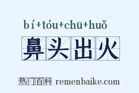 鼻头出火是什么意思的图片